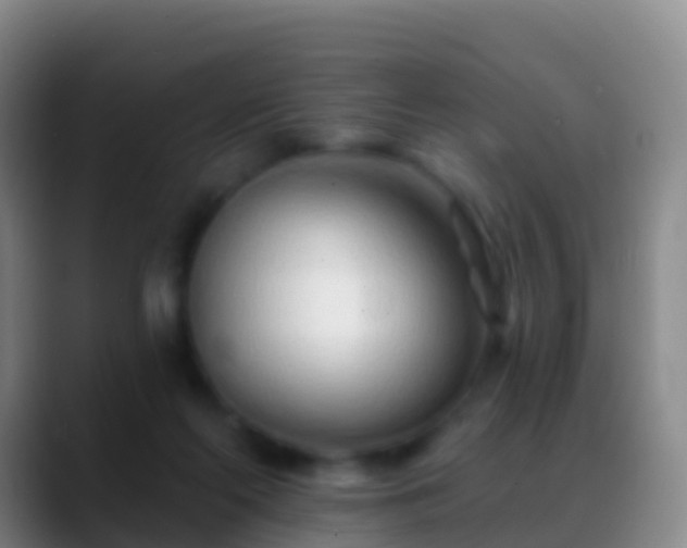 X0000088900214200706151854