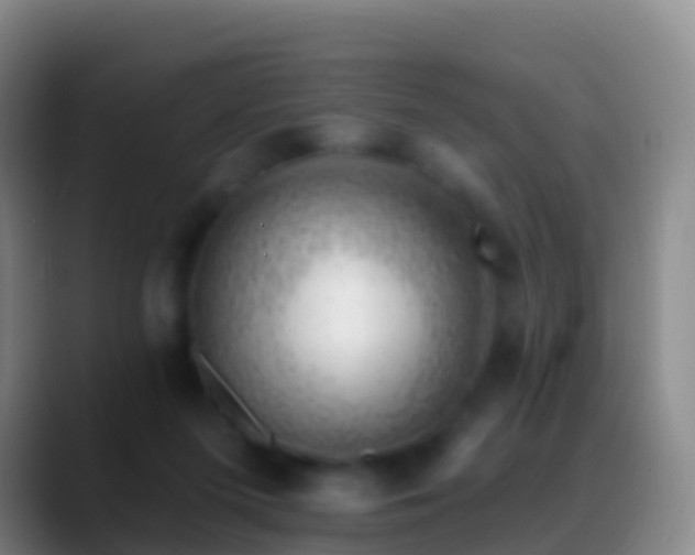 X0000088900215200706151854