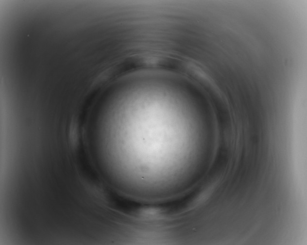 X0000088900216200706151854