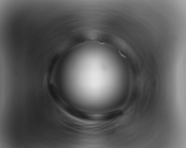 X0000088900217200706151854