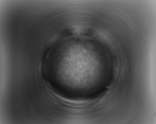 X0000088900219200706151854