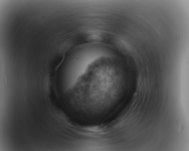 X0000088900223200706151854