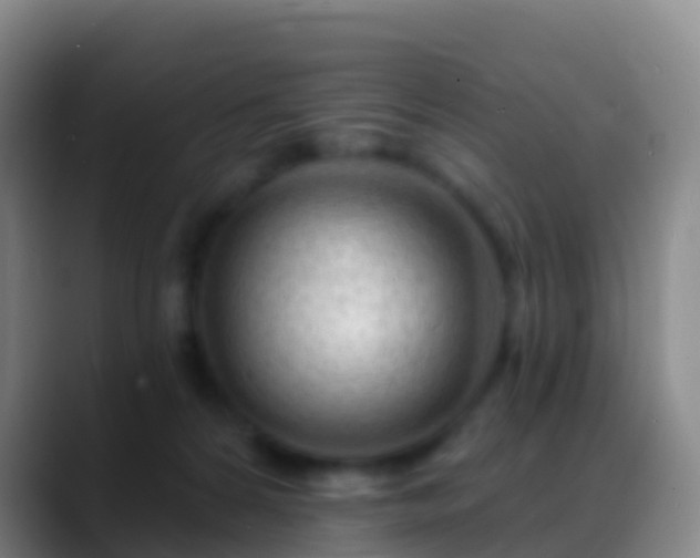 X0000088900224200706151854