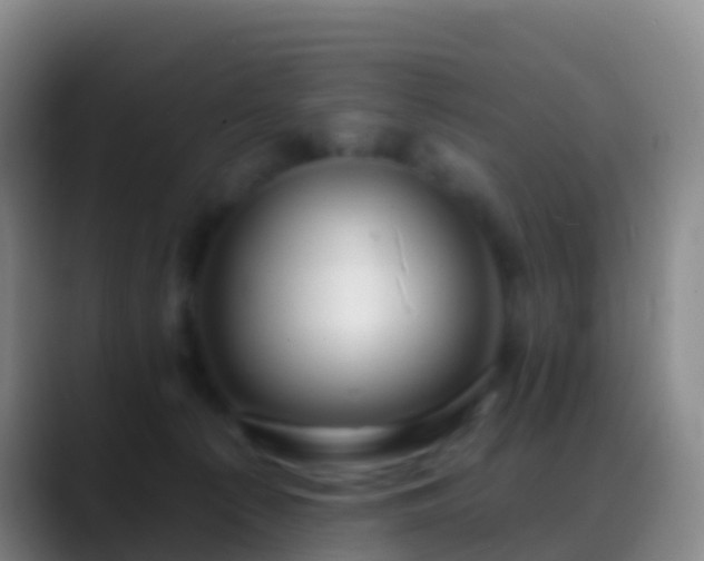 X0000088900225200706151854