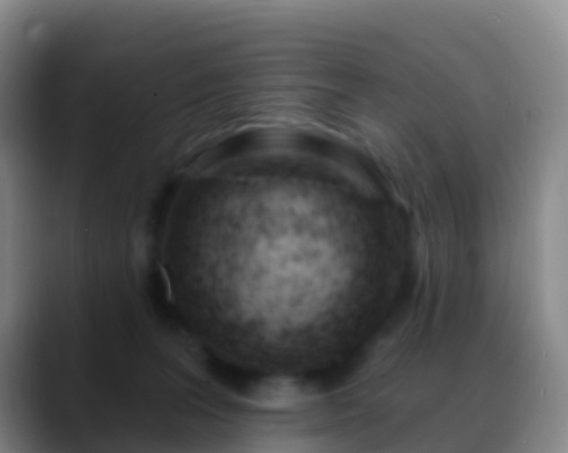 X0000088900227200706151854