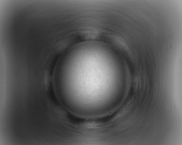 X0000088900228200706151853