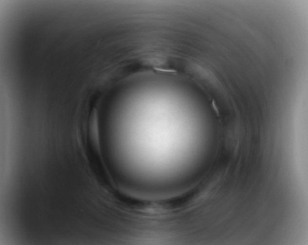 X0000088900229200706151853