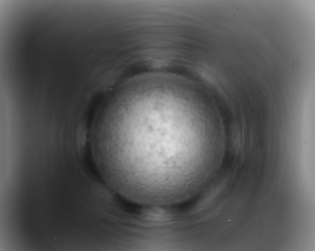 X0000088900230200706151853