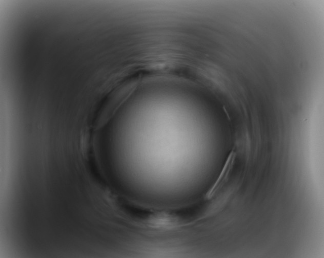 X0000088900231200706151853