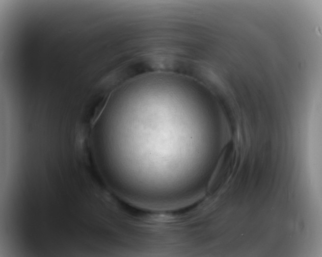 X0000088900233200706151853