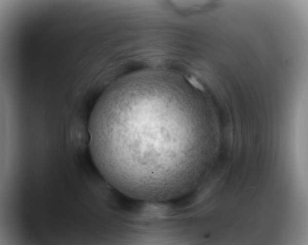 X0000088900234200706151853