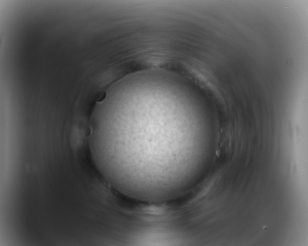 X0000088900236200706151853