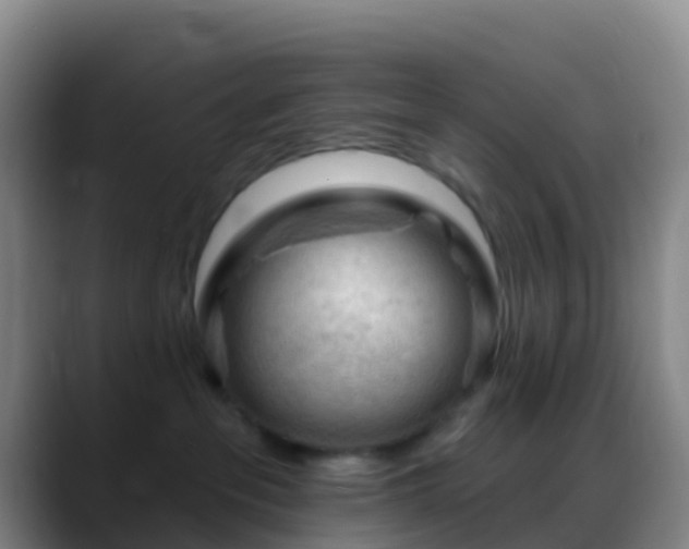X0000088900237200706151853