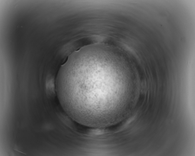 X0000088900238200706151853