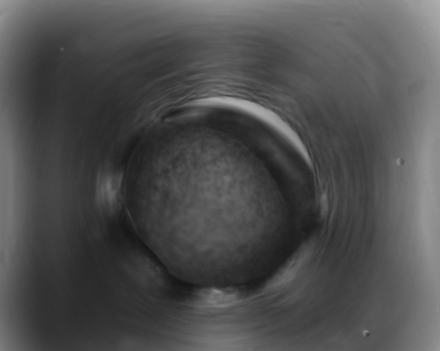 X0000088900239200706151853