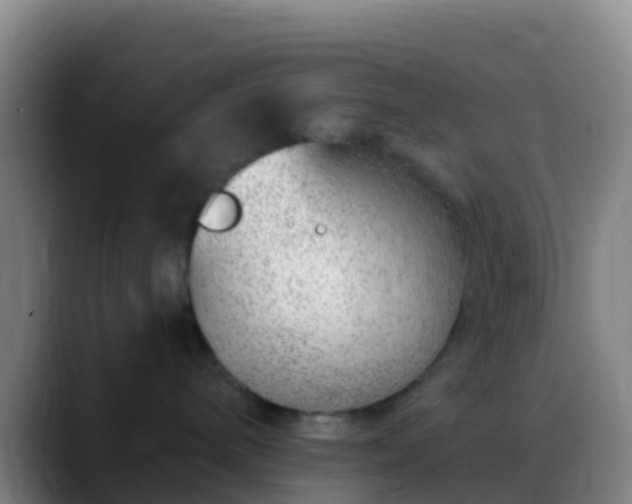 X0000088900240200706151853