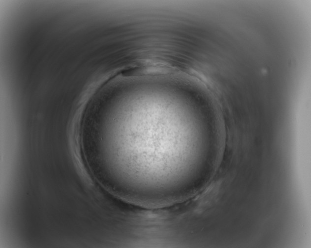 X0000088900241200706151853