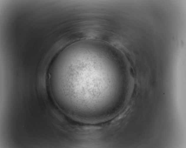 X0000088900242200706151853