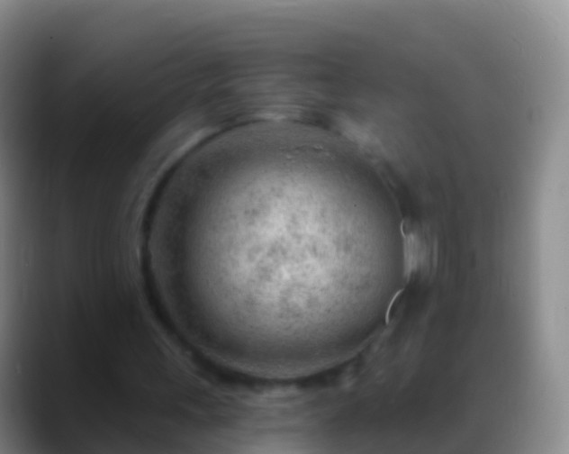 X0000088900243200706151853