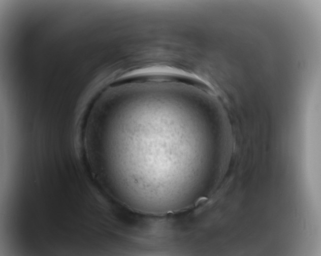 X0000088900245200706151853