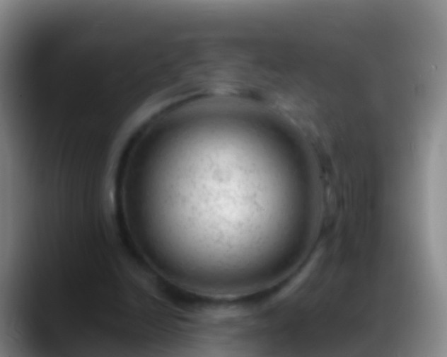 X0000088900246200706151853