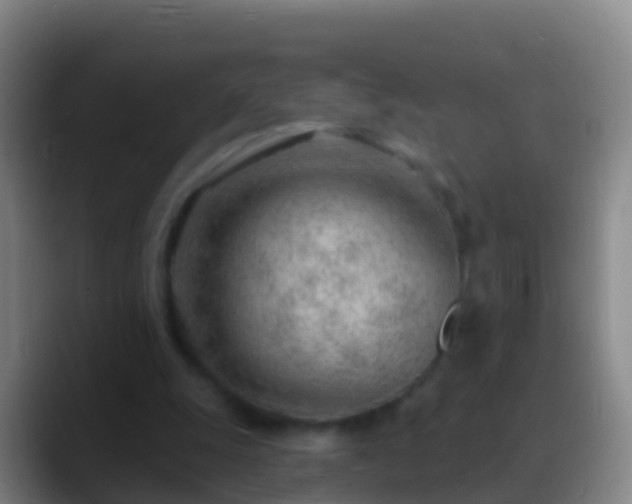 X0000088900247200706151853