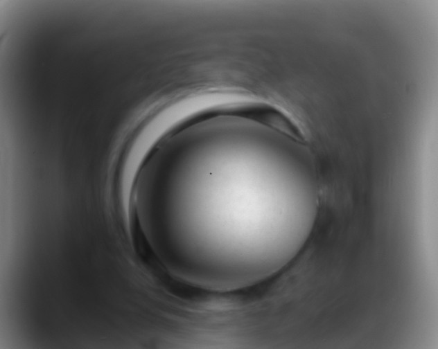 X0000088900248200706151853