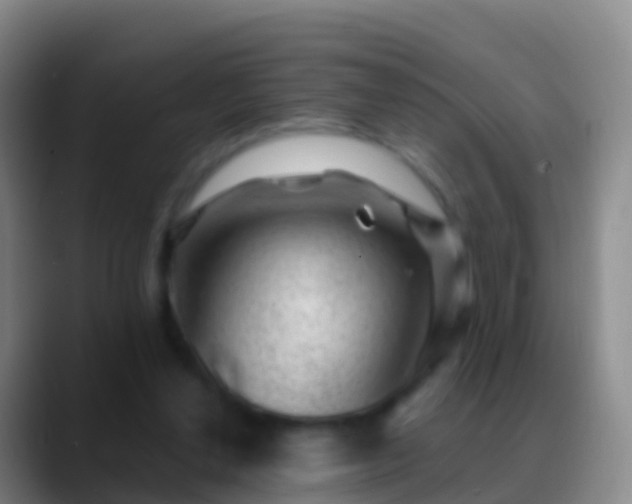 X0000088900252200706151853