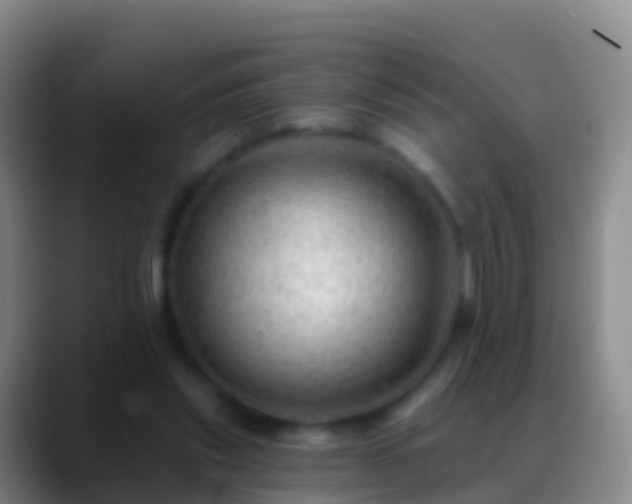X0000088900253200706151853