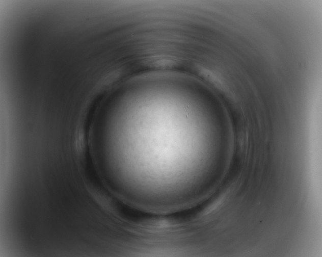 X0000088900254200706151853