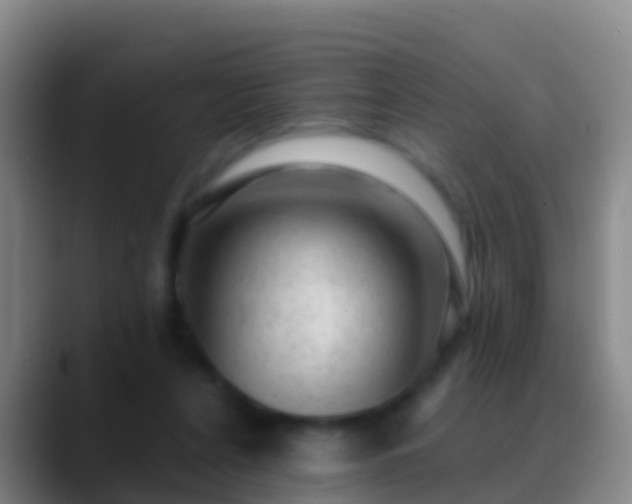 X0000088900256200706151853