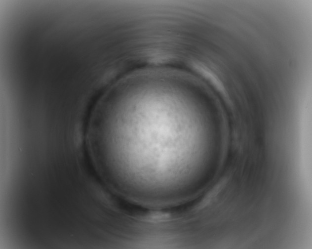 X0000088900257200706151853