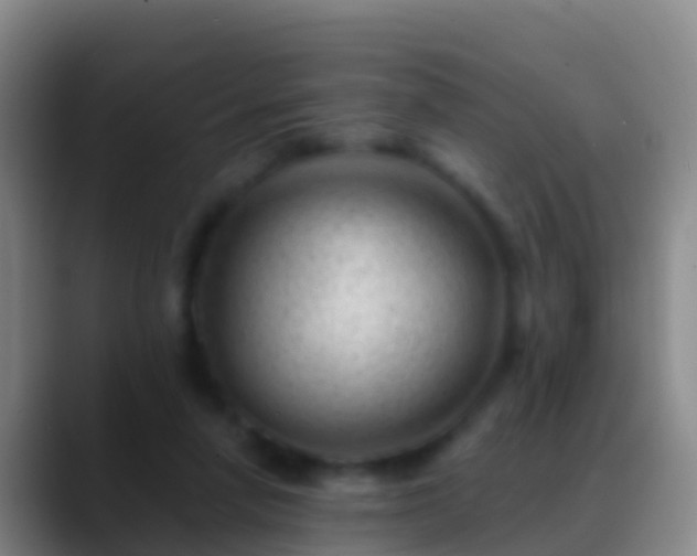 X0000088900258200706151853