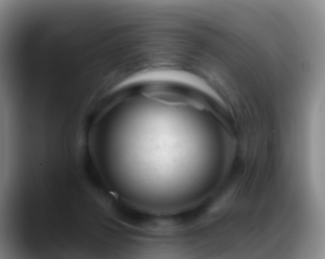 X0000088900260200706151853