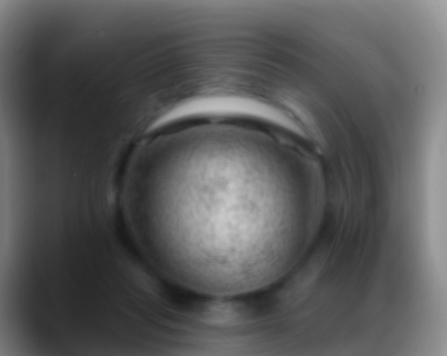 X0000088900261200706151853