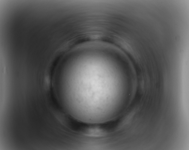 X0000088900262200706151853