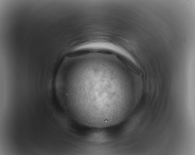 X0000088900263200706151853