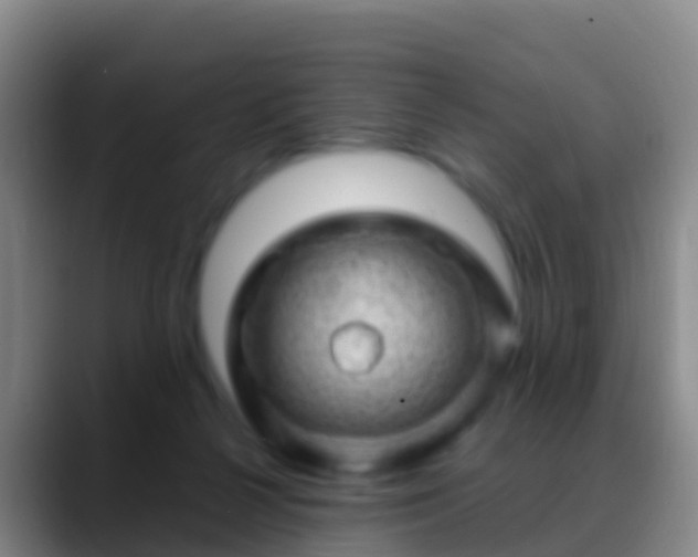 X0000088900264200706151853