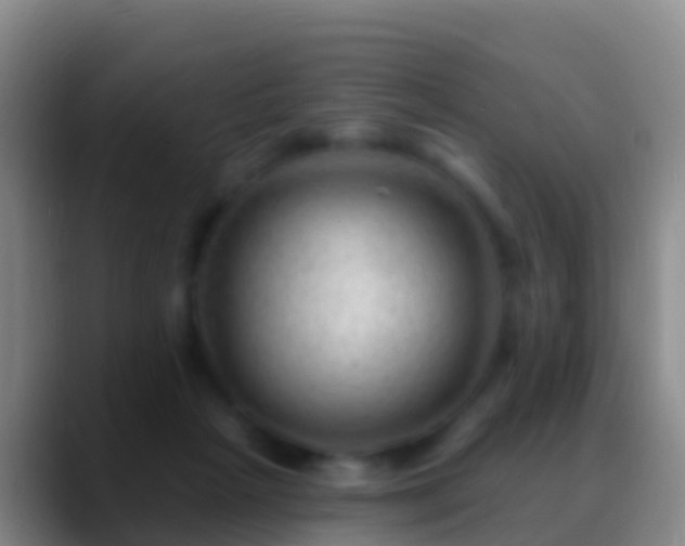 X0000088900265200706151853