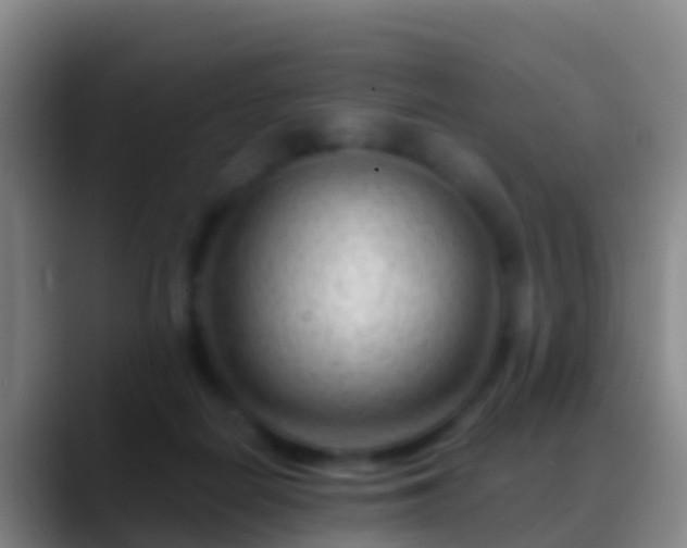 X0000088900266200706151853