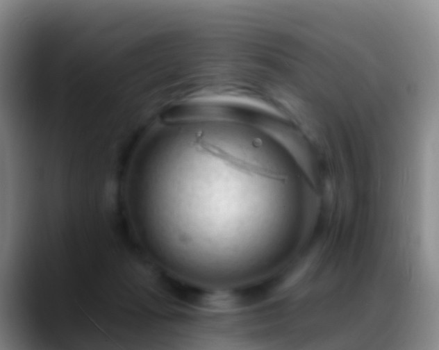 X0000088900269200706151853