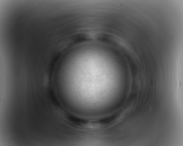 X0000088900270200706151853