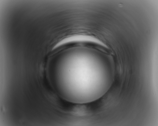 X0000088900271200706151853