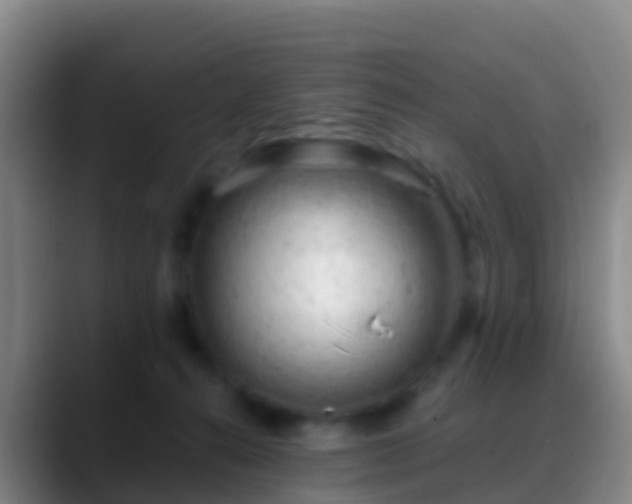 X0000088900272200706151853