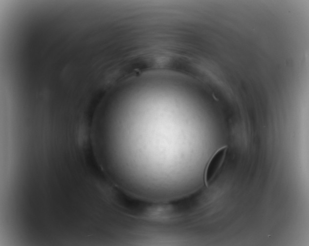 X0000088900274200706151853