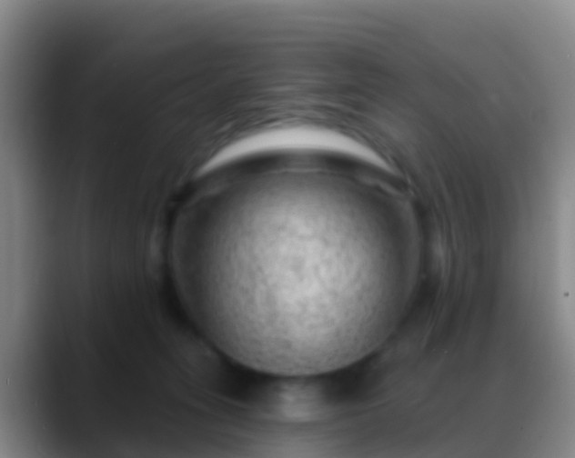 X0000088900275200706151853