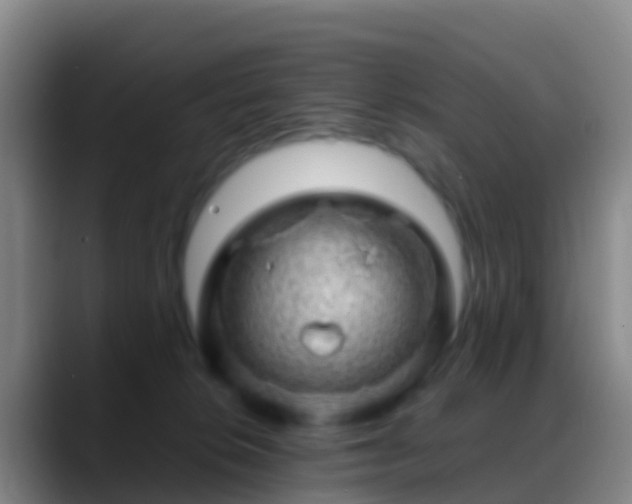 X0000088900276200706151853