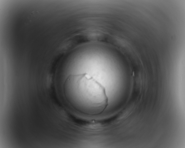 X0000088900278200706151853