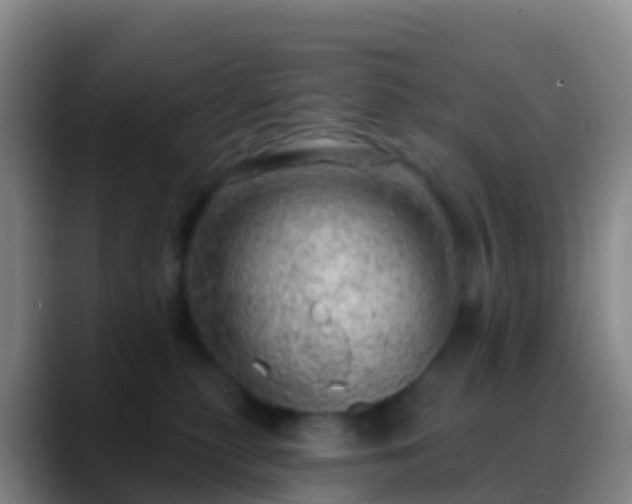 X0000088900279200706151853