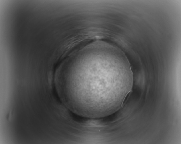 X0000088900283200706151853